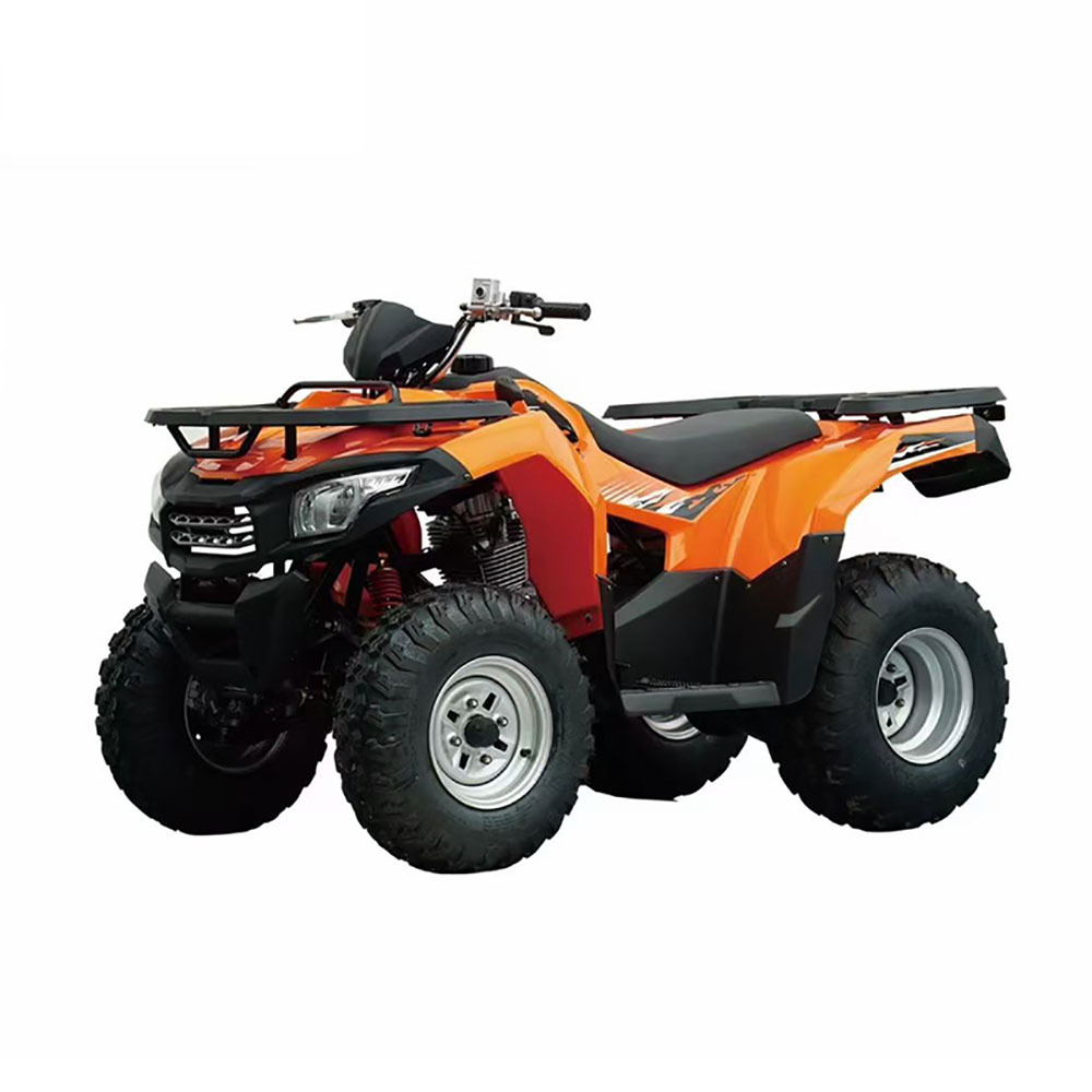 Ventas directas de fábrica LONCIN 230 cuatro ruedas motocicleta ATV / UTV Vehículo de playa LONCIN todo terreno vehículo todoterreno