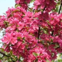 ���ĸĽ����FС�^���x���ĺ���ħ�������������Ӻ��ļt�~3-15����
