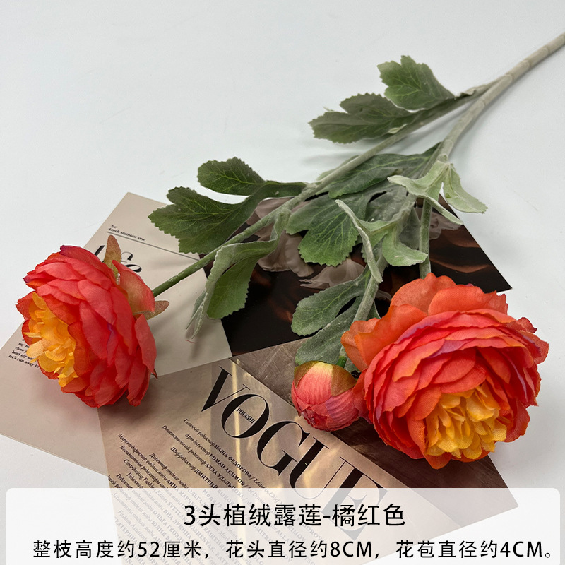 몰려든 오렌지 레드