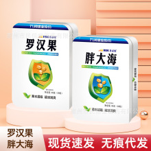 九润健业日必佳罗汉果胖大海润候糖清新口气教师节含片糖一件代发