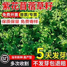 ϻޣݷNιiţuZļ~ݷN~ݷN