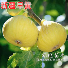 �½����S�o���������Ե��Ԯ���Y���ش�o���������Ϸ������Nֲ