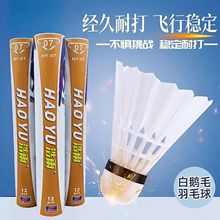 浩雨羽毛球12支装个6装耐打羽毛球白色室外学习训练球羽毛球拍套