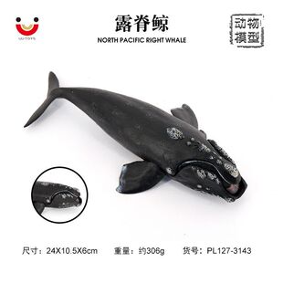 Simulation Right Whale Marine Solid Animal Model King Squid Tumor Head Whale Ink Dou Toy Decoration Children's Cognition