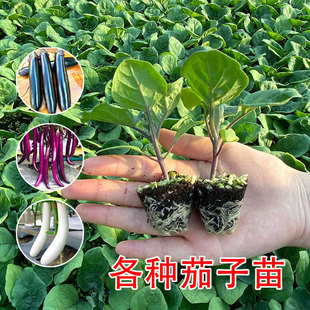 ���������������Ժ���һ̖�Ϻ��L�ѾG�޼޽Ӹ߮aС�߲����ȫ����