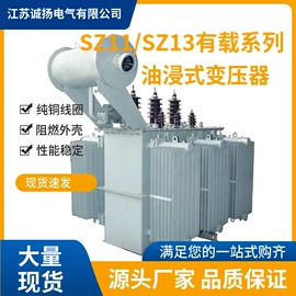 干式变压器;油浸式变压器;箱式变电站