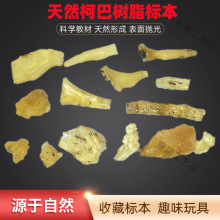 天然抛光柯巴树脂 半透明原石原料标本 趣味玩具 科巴脂碎料盲盒