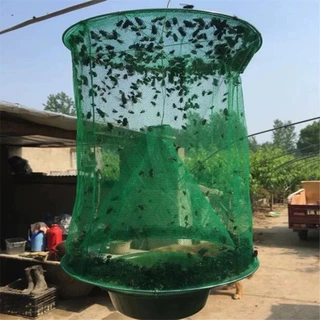 捕蝇器 灭蝇笼 捕蝇笼 苍蝇笼 诱蝇笼 绿网苍蝇笼 绿色款苍蝇笼