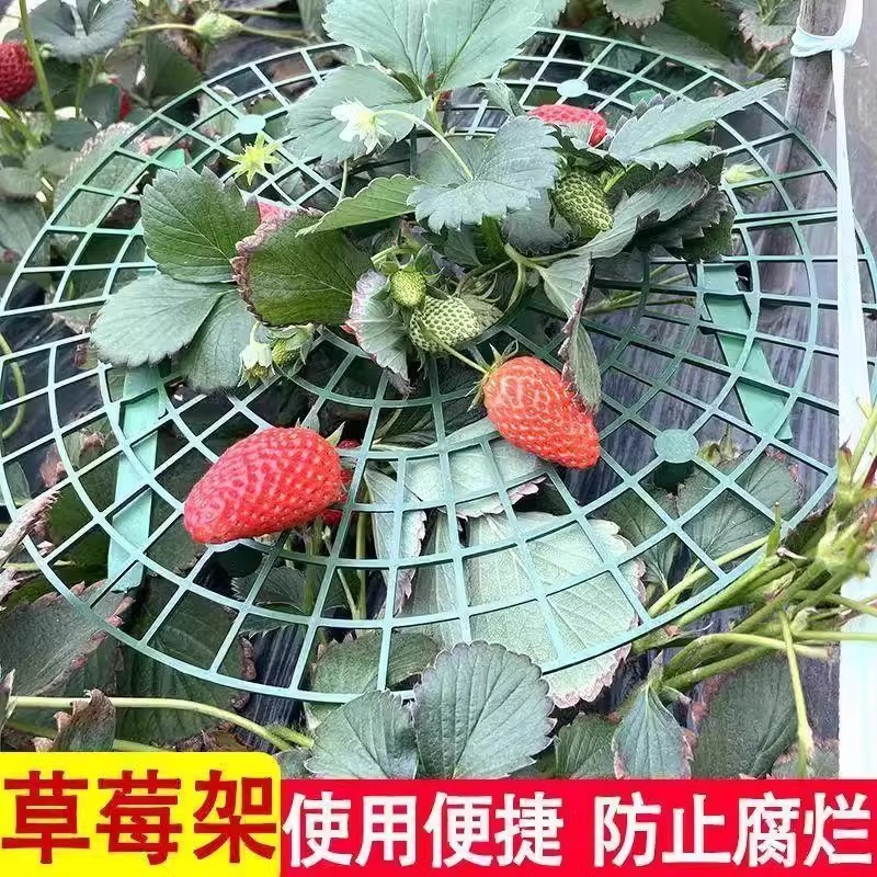 Home Planting Strawberry Tray Rack, Green Plant Anti-Tilting Support, Fruit Support, Strawberry Support Frame, Gardening Supplies