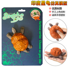 仿真野生动物硅胶软胶印度星龟模型陆龟捏捏乌龟螃蟹玩具儿童礼物