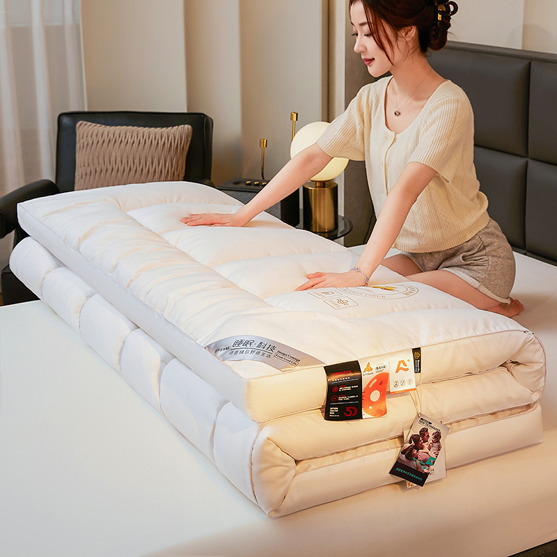 Class a Soy Fiber Stereo Mattress Student B&B Single Mat Foldableable Mattress Super Soft Tatami Mat