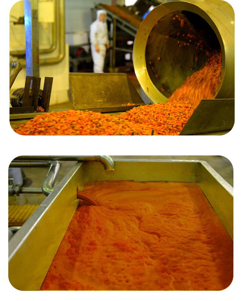 Wild Sea Buckthorn Juice Puree Bulk 200kg Whole Barrel Wholesale Inner Mongolia Small Fruit key features