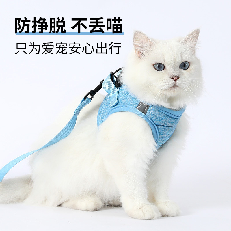 Armadura de perro chaleco correa de pecho gato pequeño perro caminando perro cuerda