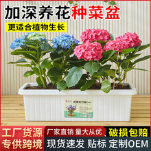 �̨�N�ˌ����L�����������߲˷Nֲ��Ӻ����ô����L�l