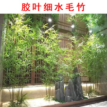 �����������l���^�b��^�z�~��ˮë���쾰���ë����ȼ���������