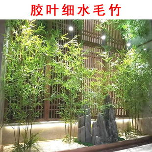 �����������l���^�b��^�z�~��ˮë���쾰���ë����ȼ���������