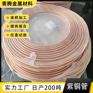 T2���~��TP2����P��ֱ��C1100���{�������~��ë���ܟo���~��