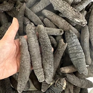 Ұɽ110�^�ڞ���������؛500g���������Ⅲ������Ǽ�ʳ����