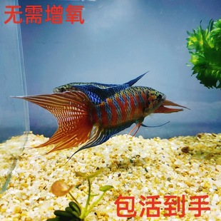 ��ˮ�^�p�~��ˮ�Ї����~���w���~�ղ治�������_���ֽ�Ꭷ�~���B