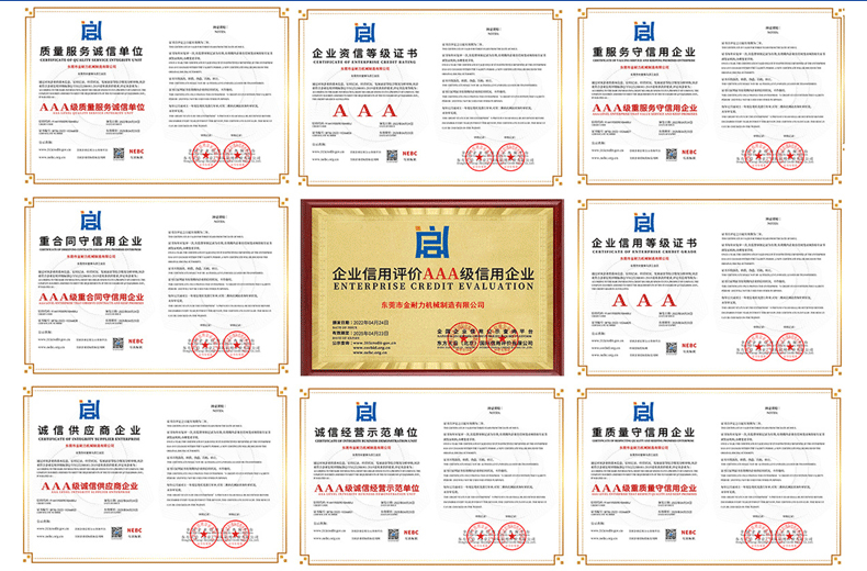 金耐力的荣誉证书