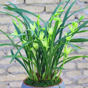 �m�����l�r����Ů�ļ��m�����绨�܏S�����l����վ���R�dһ�����l