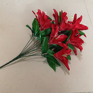 �¿�С�ٺϷ��滨12�͏d�bٻ������ҾӔ[���廨���Ժ��s��