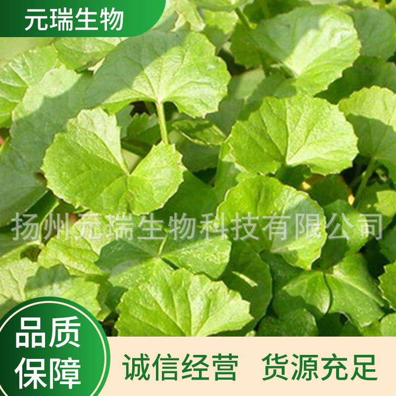 厂家批发积雪草提取液化妆品护肤品原料植物提取物积雪草萃取液