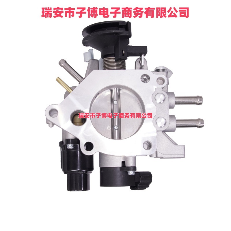 22210-Bz111 Tb-0172 Th-004 Suitable for Toyota Throttle Assembly