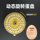 Factory direct small household incubator automatic incubator intelligent breeding incubator egg incubator