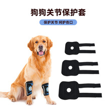 跨境宠物护膝老龄犬辅助支撑运动狗狗腿狗护腿关节保护全网代发