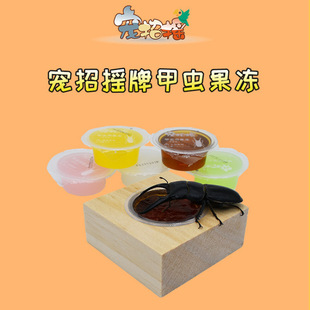 ���x�������������x����̨���ë������Ӷ��x���x��ţ�@���xʳ��