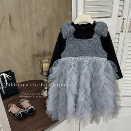 【现货秒发】女童连衣裙2025款洋气公主裙珍珠蝴蝶网纱裙加绒礼服