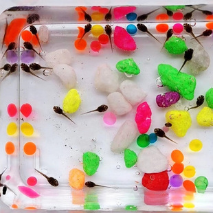 С�������ͯ���w�Bֳ�W���^�쌍򞌙�������ϰ���ˮ����