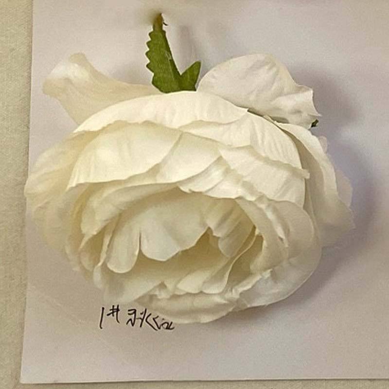 가을 흰색-A01