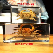 ���������֬�~����~���\�ľ�з�r�з�������~�������ј˱�