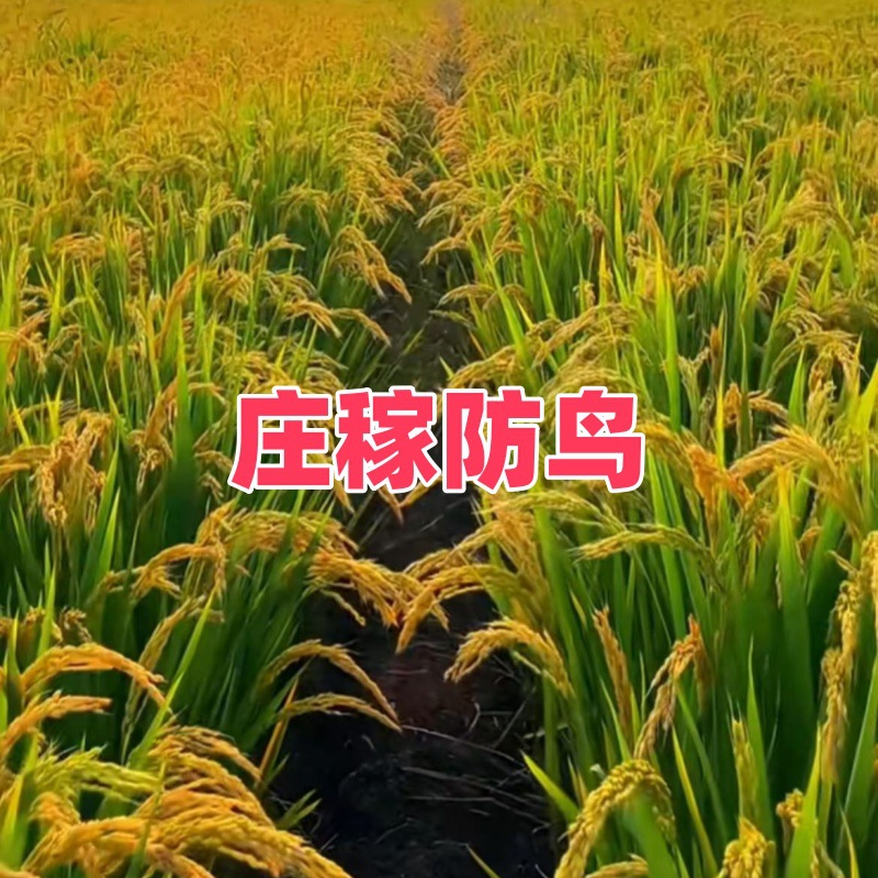 微信图片_20250317134426