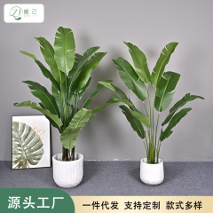 緑植旅人カンナ室内客間軽豪華樹北欧大型植物鉢植え置物裂口旅人カンナ