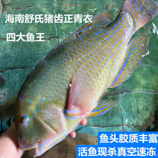 ʮ��𒺣�Ϻ���������r�����i�X�~�������~��~���Y�Ĵ��~������