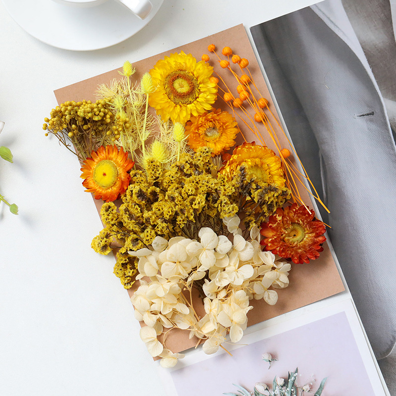 Flor seca flor eterna marco de fotos en relieve paquete de material flotante hecho a mano aromaterapia ventilador redondo actividad salón grupo edificio transfronterizo al por mayor