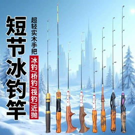 鱼竿;其他垂钓用品;渔线轮