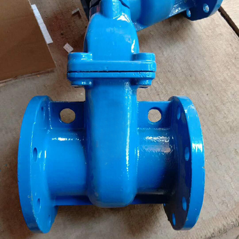 供应防护闸阀 暗钢防护闸阀 球墨铸铁弹性座封阀门 加工定制