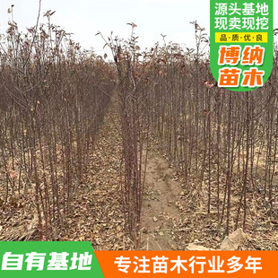 �����O������Ժô�� Ҏ���Rȫ����o�����O������