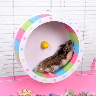 �}���o����݆��z���D݆�ܲ��C����С���������Ʒ