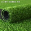 [2.0cm春草【优质柔软】10500簇热销50平米]
