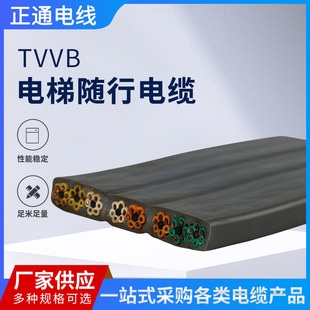 工廠定制TVVB電梯隨行電纜 3~60芯國標純銅行車電動伸縮門電纜