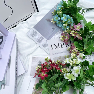 ���򻨷��滨��Y����С�r���bٻ��������[���������Ͻ���