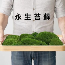 ̦\\΢^װl\̦~쾰҃辰Gֲ