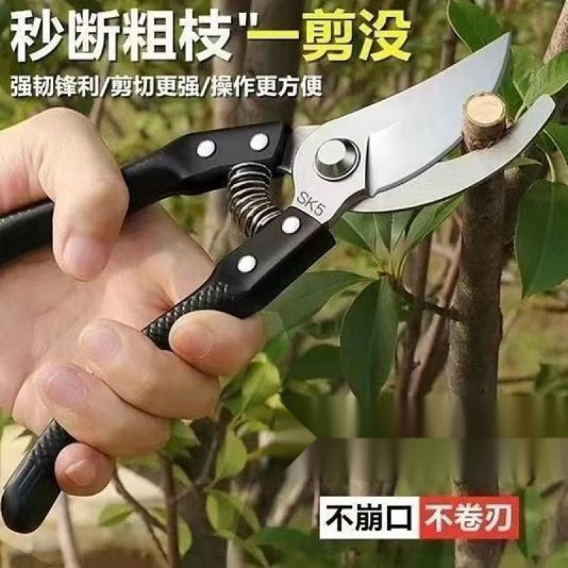 ドイツの職人技で輸入された鋼製剪定鋏、木の剪定鋏、果樹剪定鋏、家庭用花木、ブドウの剪定鋏|undefined