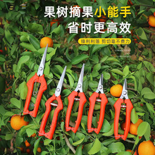 户外不锈钢花园剪园林果枝剪多功能树枝剪农用强力园艺枝条