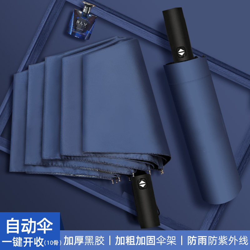 네이비블루 10본 전자동